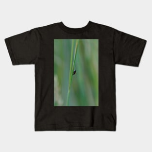 black ladybug Kids T-Shirt